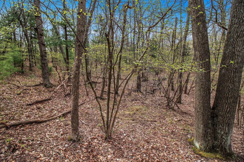 Own your Lake Michigan beach access property! This wooded - Beach Lot for sale in Mears, Michigan on Beachhouse.com