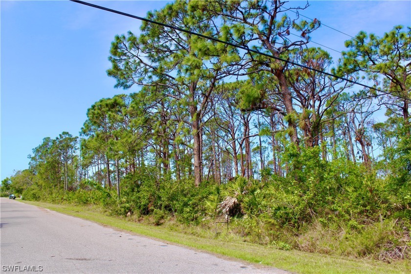 Welcome to your future Dream Home site! This vacant lot located - Beach Lot for sale in Port Charlotte, Florida on Beachhouse.com