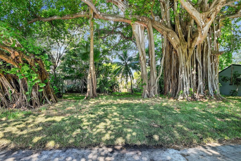 A beautifully treed vacant lot, 135 X 87.50, ready to build and - Beach Lot for sale in Lake Worth, Florida on Beachhouse.com
