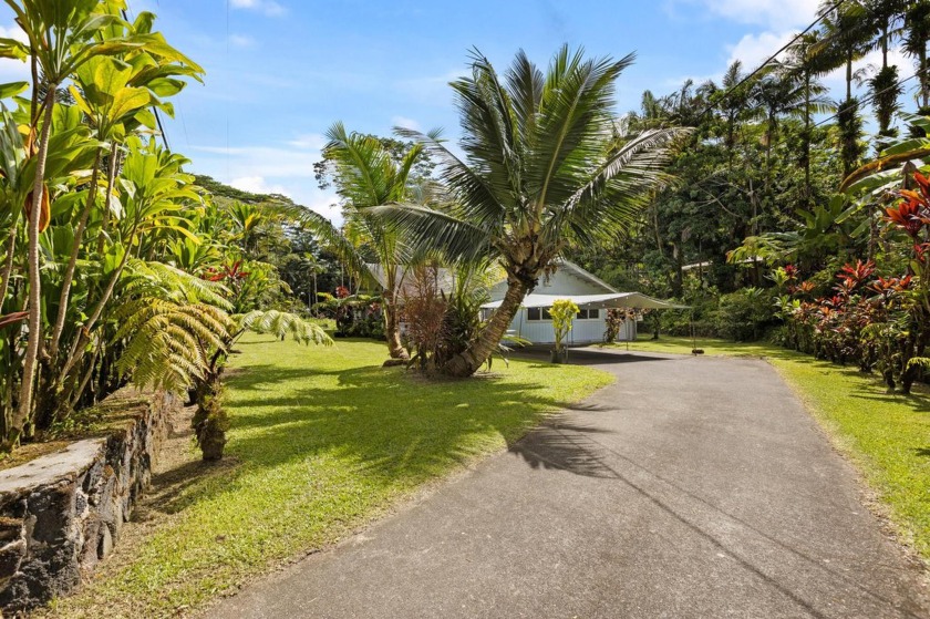 TWO permitted single family HOMES on BREATHTAKING Tropical - Beach Home for sale in Pahoa, Hawaii on Beachhouse.com