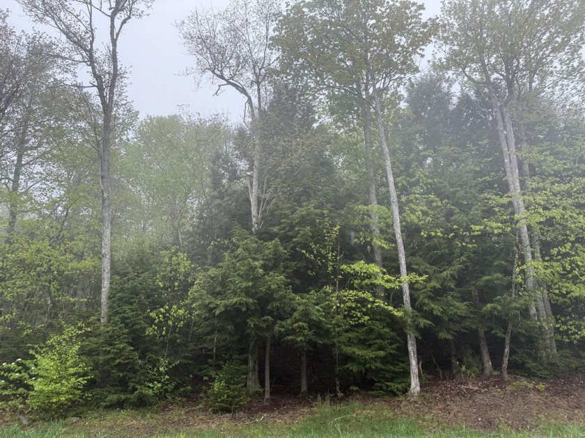 This 1.85-acre dry, sloped lot is nestled in a peaceful, wooded - Beach Lot for sale in Ellsworth, Maine on Beachhouse.com