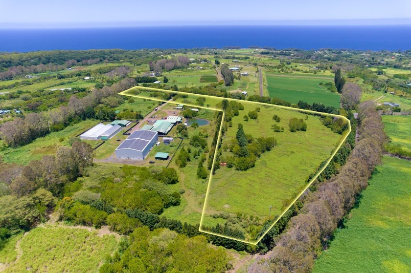 Priced BELOW assessed value, Seller is offering this property at - Beach Acreage for sale in Pepeekeo, Hawaii on Beachhouse.com
