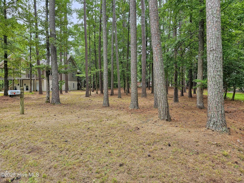 Beautiful, wooded lot in the desirable Pamlico Plantation - Beach Lot for sale in Washington, North Carolina on Beachhouse.com