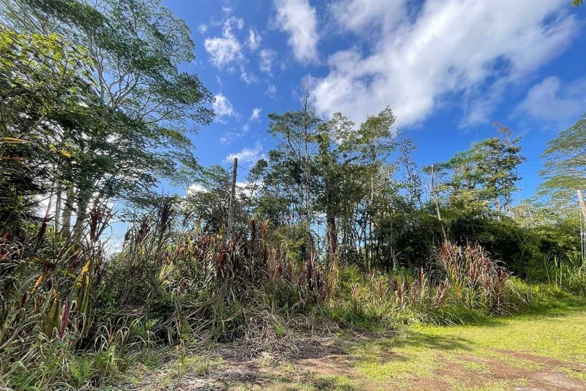 Spacious, Forested Lot in Nanawale Estates - A Perfect - Beach Lot for sale in Pahoa, Hawaii on Beachhouse.com