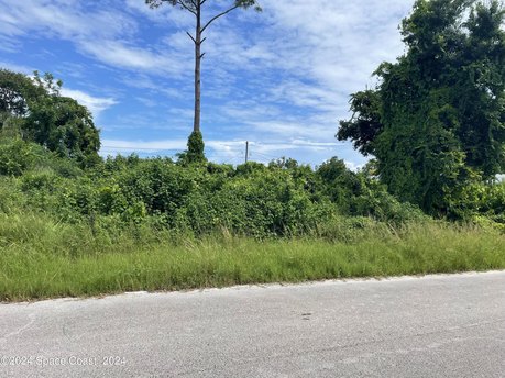 Interior 0.23 acre city water and sewer lot available in Port - Beach Lot for sale in Palm Bay, Florida on Beachhouse.com