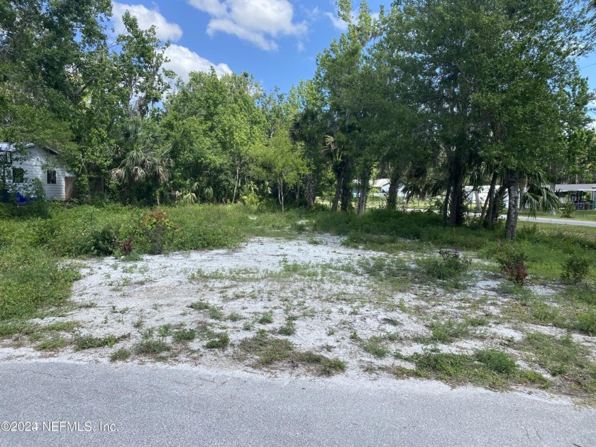 Check out this perfect lot in Oliver Estate. Perfect spot for - Beach Lot for sale in New Smyrna Beach, Florida on Beachhouse.com