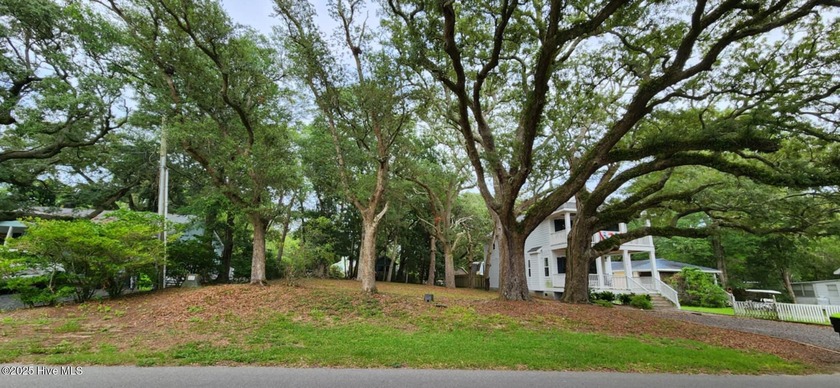 Large, mature live oaks will help provide shade, charm and added - Beach Lot for sale in Southport, North Carolina on Beachhouse.com