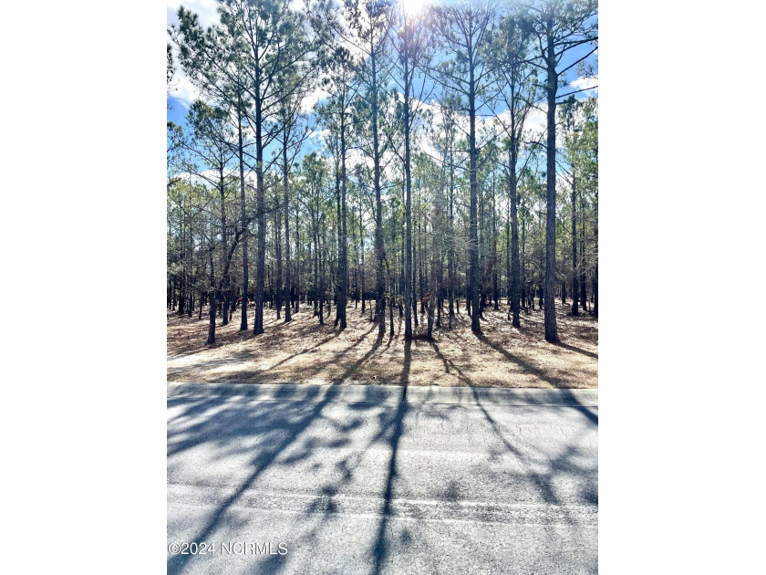 Beautifully situated homesite tucked away on a quiet street in - Beach Lot for sale in Ocean Isle Beach, North Carolina on Beachhouse.com