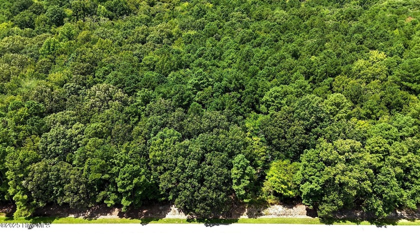 1.4-acre wooded lot within a 1/2 mile to a public boat ramp. NOS - Beach Lot for sale in New Hope, North Carolina on Beachhouse.com