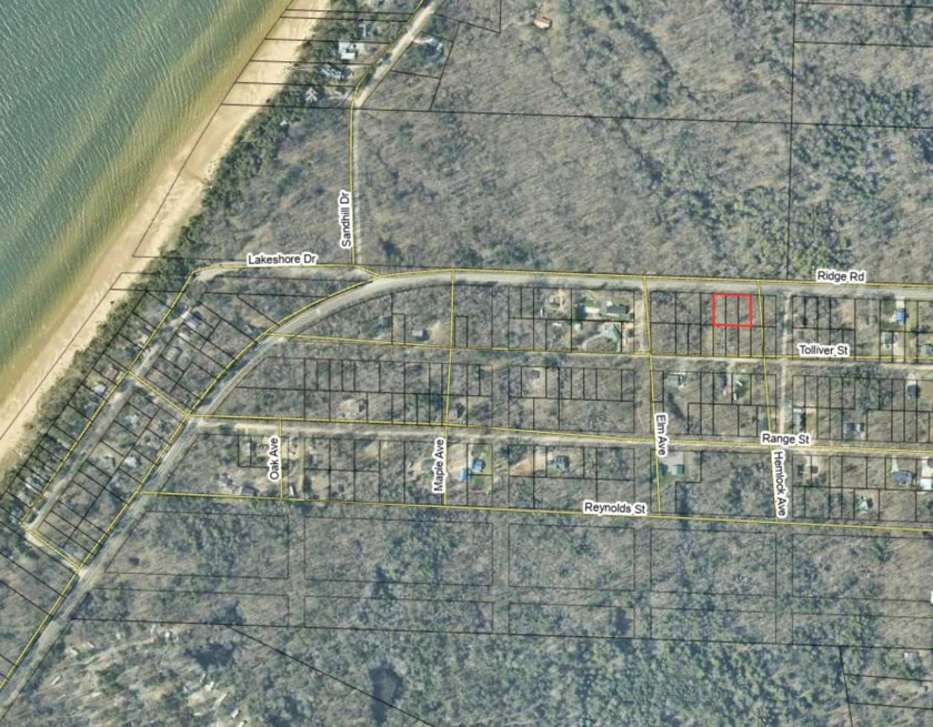Discover a fantastic opportunity to own a piece of Michigan's - Beach Lot for sale in Mears, Michigan on Beachhouse.com