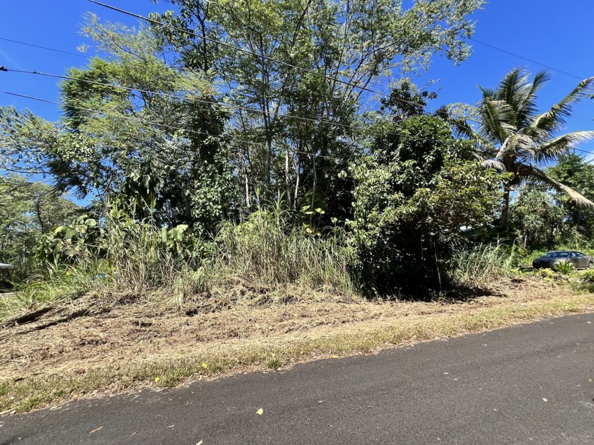 Imagine owning a piece of untouched Hawaiian paradise. This 13 - Beach Lot for sale in Pahoa, Hawaii on Beachhouse.com