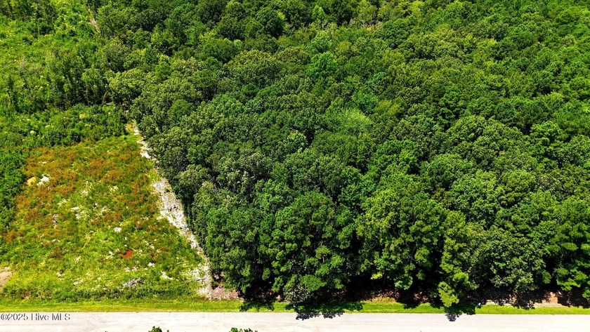 1.5 acre wooded lot located within a 1/2 mile of a public boat - Beach Lot for sale in New Hope, North Carolina on Beachhouse.com