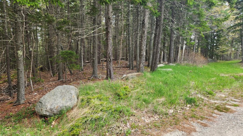 Beautiful wooded glen with vintage lichen-covered stonewalls - Beach Lot for sale in Phippsburg, Maine on Beachhouse.com
