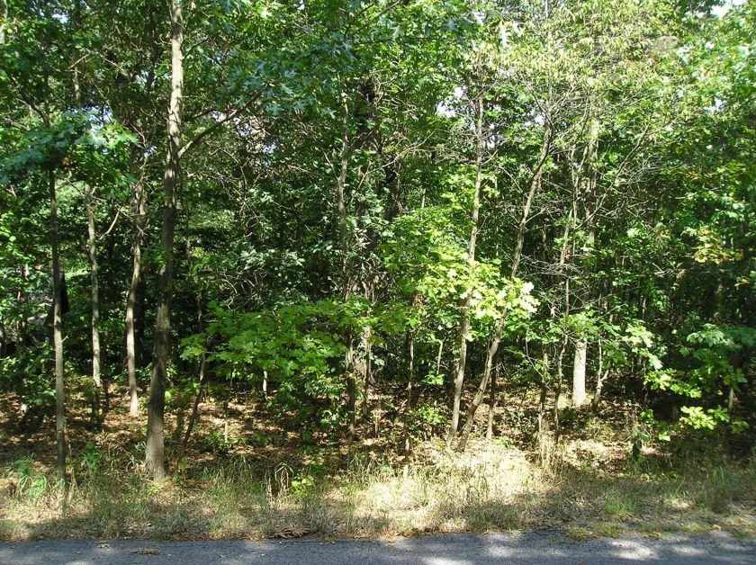 Buildable Lot in Michigan Shores Country Club! Bring your - Beach Lot for sale in New Buffalo, Michigan on Beachhouse.com