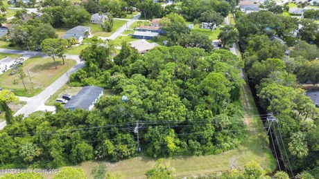 Nestled in the heart of New Smyrna Beach, this treed buildable - Beach Lot for sale in New Smyrna Beach, Florida on Beachhouse.com