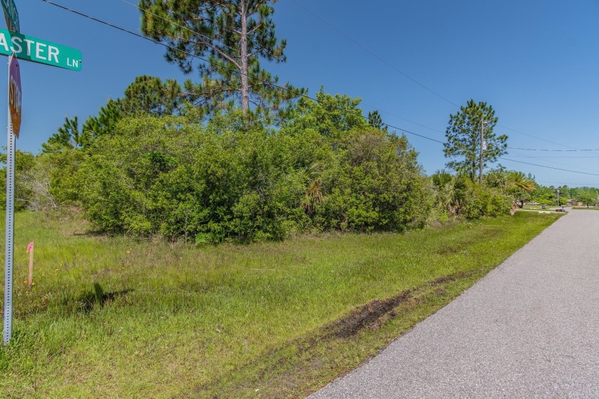 Here is your opportunity to own a great lot in highly - Beach Lot for sale in Palm Coast, Florida on Beachhouse.com