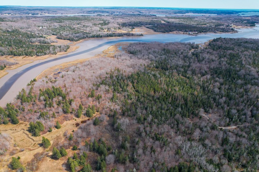 You're not going to want to miss the chance to acquire this - Beach Acreage for sale in Harrington, Maine on Beachhouse.com