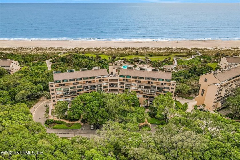 Affordability meets luxurious island living in this fully - Beach Condo for sale in Amelia Island, Florida on Beachhouse.com
