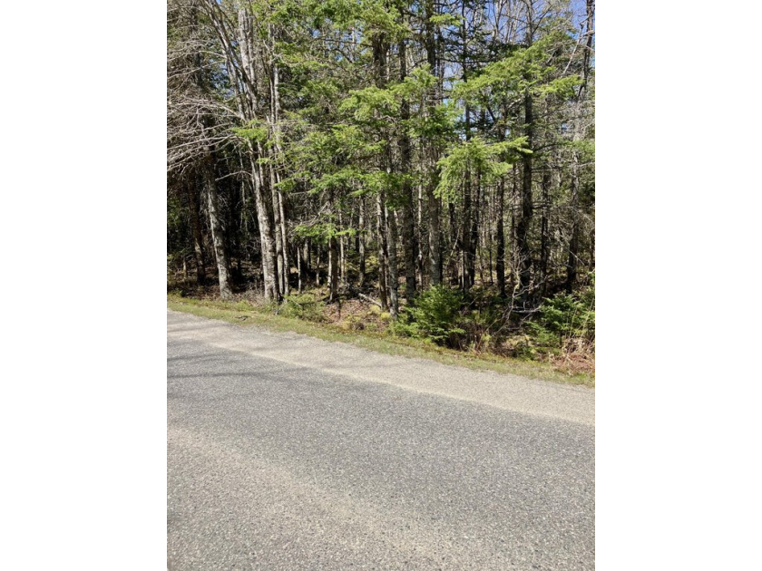 This sizable 3.79 acre interior lot with mature woodlands - Beach Acreage for sale in Machiasport, Maine on Beachhouse.com