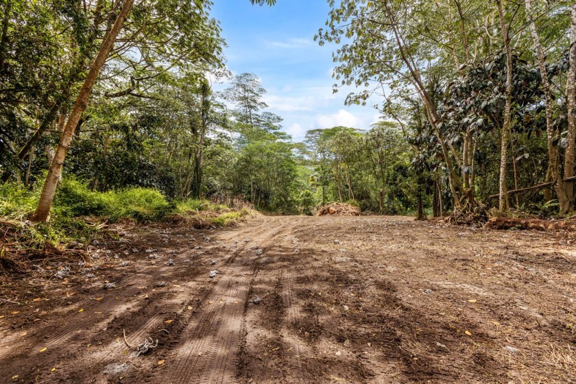 Rarely available large parcel in Nanawale Estates area, offering - Beach Acreage for sale in Pahoa, Hawaii on Beachhouse.com