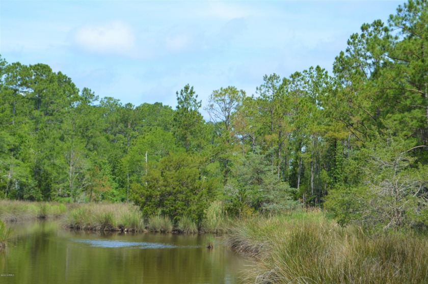 A rare find!! This unrestricted, waterfront homesite - Beach Lot for sale in Merritt, North Carolina on Beachhouse.com