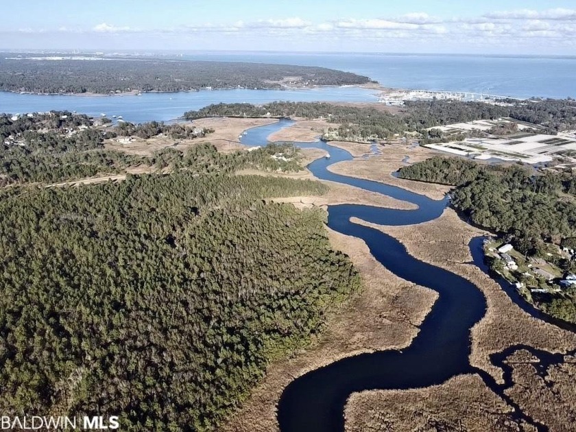 This versatile & divisible waterfront tract with quick access to - Beach Acreage for sale in Theodore, Alabama on Beachhouse.com