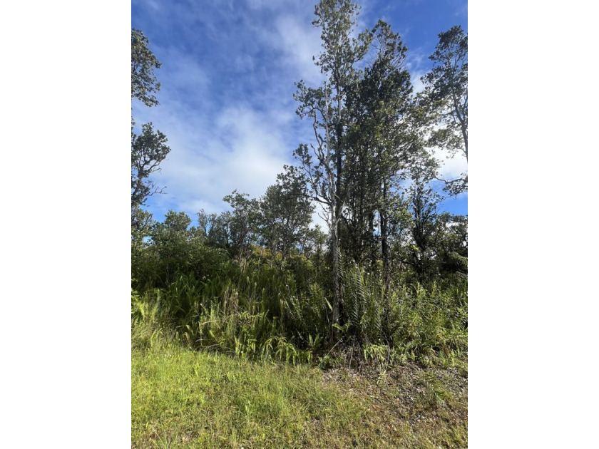 This one acre parcel in the Eden Roc community offers flat - Beach Lot for sale in Mountain View, Hawaii on Beachhouse.com