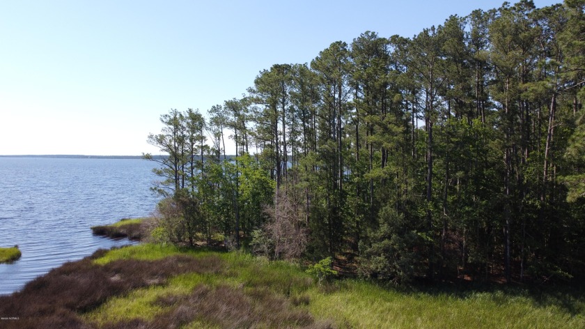Fantastic waterfront views are available from this unrestricted - Beach Lot for sale in Vandemere, North Carolina on Beachhouse.com