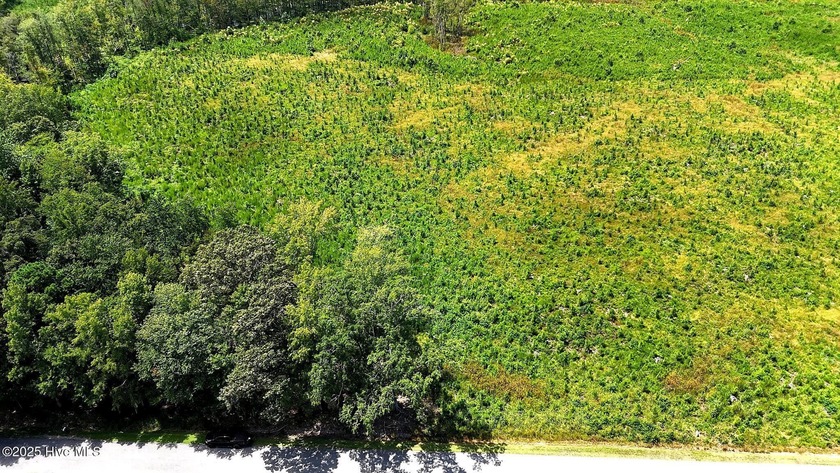 1 acre lot located on a dead-end street with no HOA or deed - Beach Lot for sale in New Hope, North Carolina on Beachhouse.com