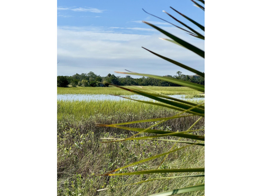 Discover your own slice of paradise with this stunning 1.6-acre - Beach Lot for sale in Edisto Island, South Carolina on Beachhouse.com