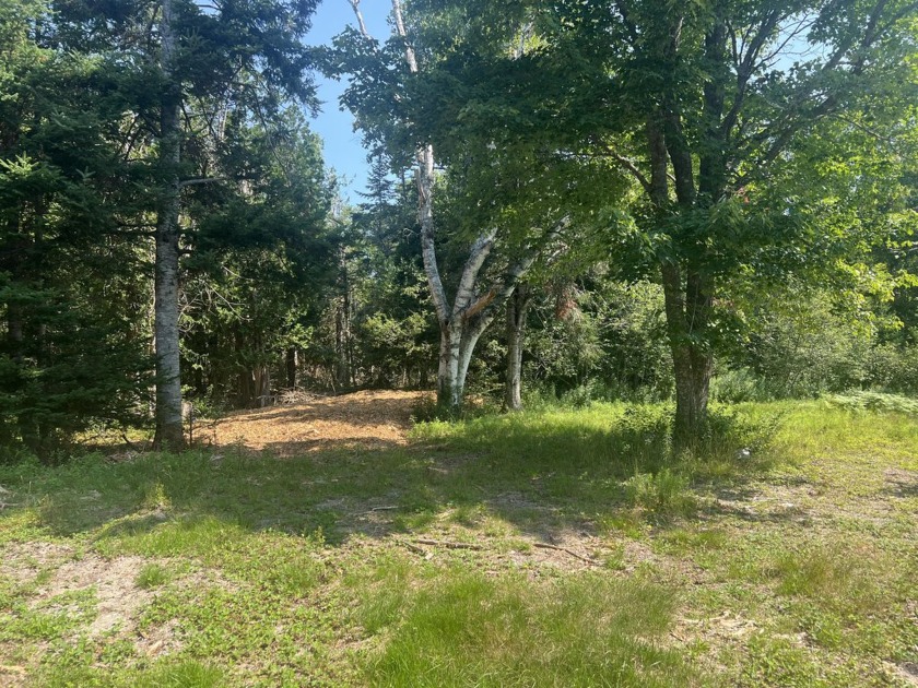 This 2.2 acre building lot is nestled among the white birch - Beach Acreage for sale in Machiasport, Maine on Beachhouse.com