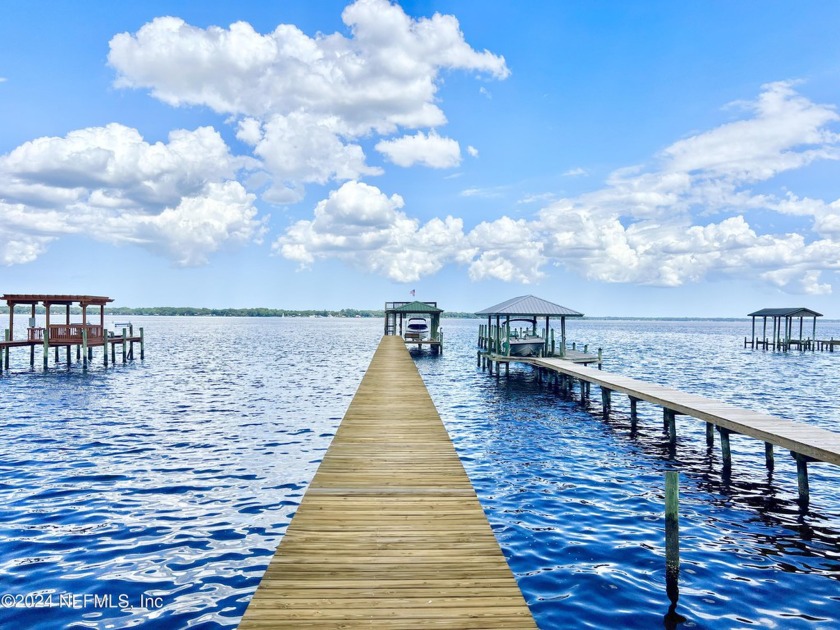 PRIVATE DEEP WATER DOCK WITH A BALCONY & 8,000 LB BOAT LIFT. The - Beach Townhome/Townhouse for sale in Fleming Island, Florida on Beachhouse.com