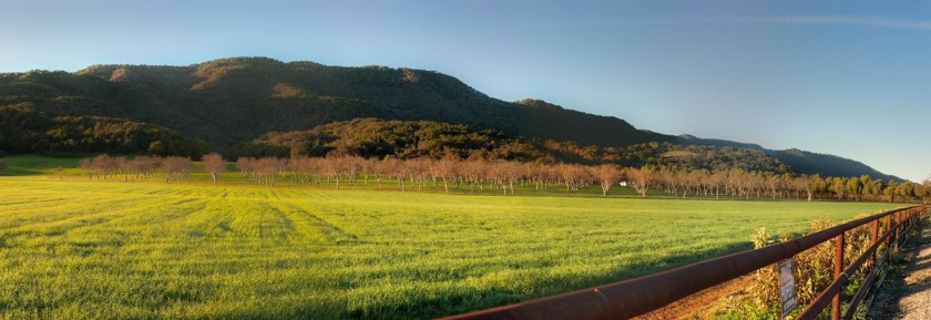 First Floor Primary Bedroom, Dining Nook with Wine Storage, Loft - Beach Home for sale in Ventura, California on Beachhouse.com