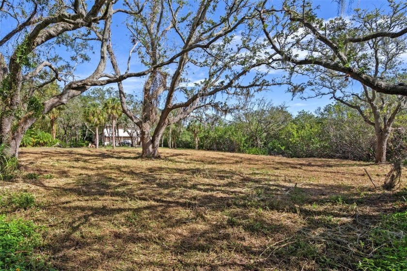 This amazing lot in Safety Harbor offers a rare opportunity to - Beach Lot for sale in Safety Harbor, Florida on Beachhouse.com