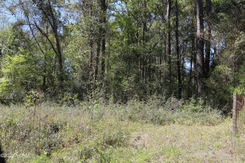 Looking for a lot for future investment? This 60x139 Sloping lot - Beach Lot for sale in Supply, North Carolina on Beachhouse.com