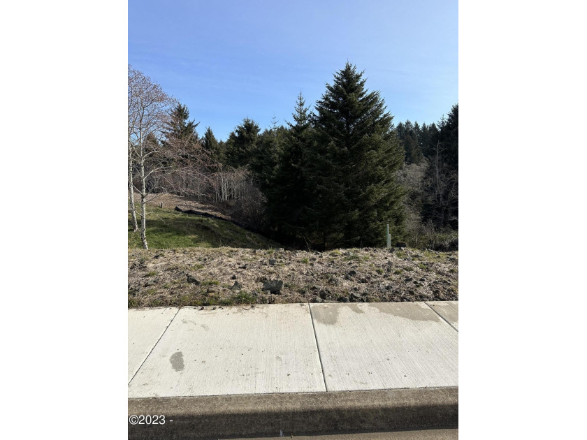 A great opportunity to purchase a large forested view lot in the - Beach Lot for sale in Lincoln City, Oregon on Beachhouse.com