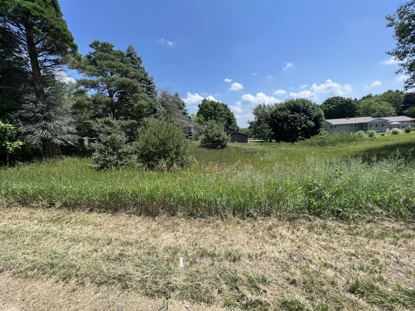 Here is your chance to own one of the only building sites left - Beach Lot for sale in New Era, Michigan on Beachhouse.com