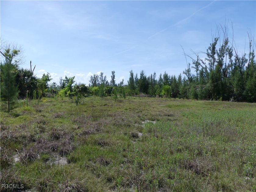 Cleared lot with view of the lake. In the heart of St James City - Beach Lot for sale in St. James City, Florida on Beachhouse.com