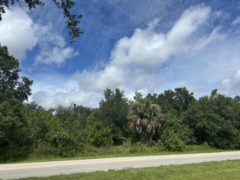 Excellent location, double lot on Vero Beach Estates right on a - Beach Lot for sale in Vero Beach, Florida on Beachhouse.com