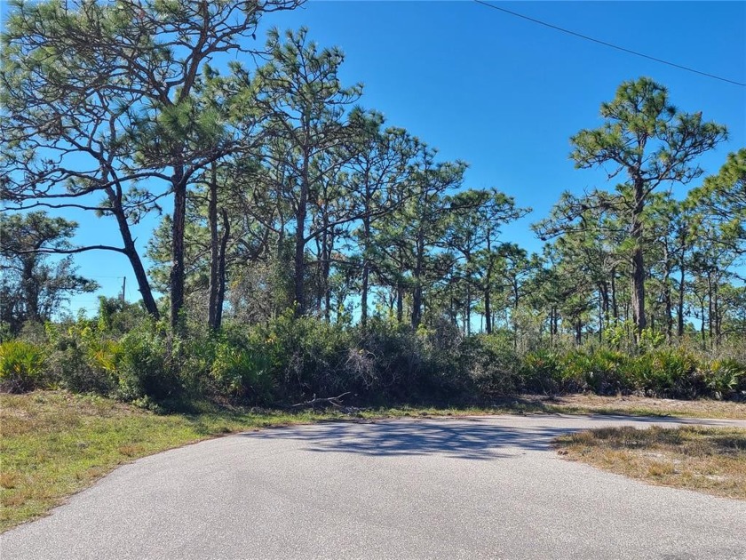 SELLERS MOTIVATED! JUST REDUCED AGAIN!!! *** $26,900***  A - Beach Lot for sale in Placida, Florida on Beachhouse.com