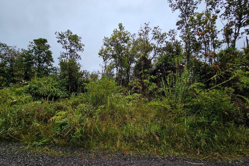 Discover an affordable 3-acre vacant parcel on Makoa Rd in the - Beach Acreage for sale in Volcano, Hawaii on Beachhouse.com