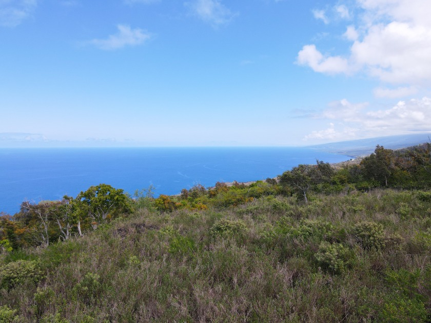 Build your dream home on this choice parcel offering - Beach Acreage for sale in Captain Cook, Hawaii on Beachhouse.com