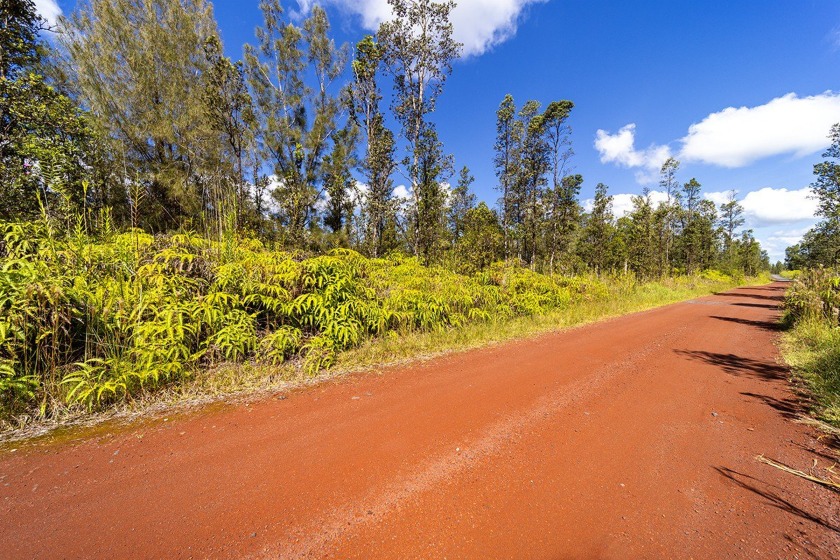 Escape to the possibilities with this 20-acre vacant fairly - Beach Acreage for sale in Mountain View, Hawaii on Beachhouse.com