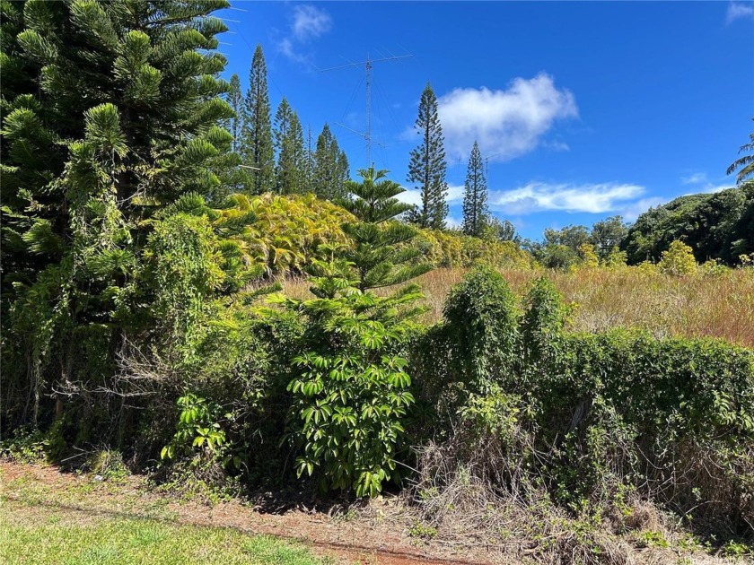 Large Pupukea Highlands Lot... 
Adjacent Vacant Lot also - Beach Lot for sale in Haleiwa, Hawaii on Beachhouse.com