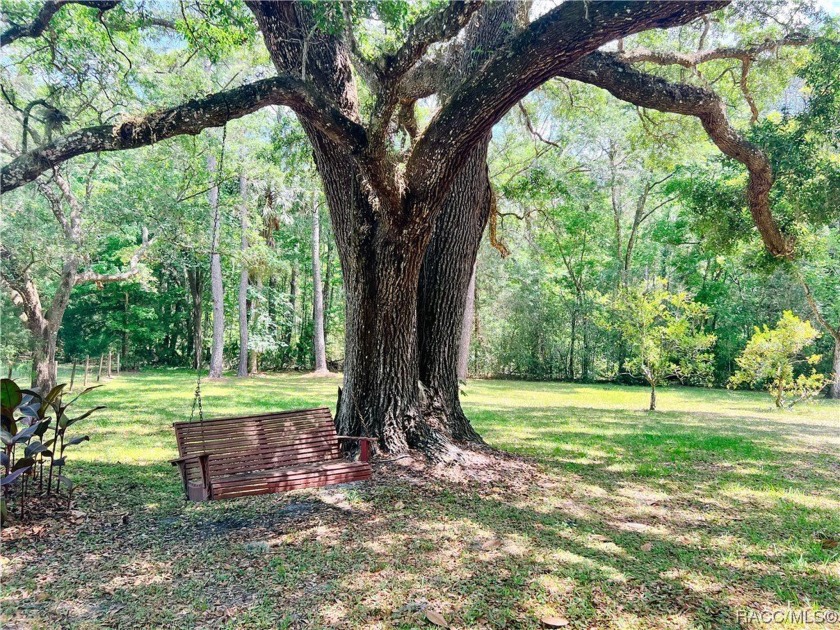 Charming cracker style home, guest cottage and barn are located - Beach Home for sale in Inglis, Florida on Beachhouse.com