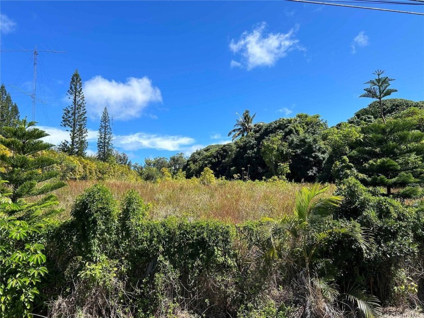 New Lower Price!
Large Ag-2 Lot with ocean and sunset views.
 - Beach Lot for sale in Haleiwa, Hawaii on Beachhouse.com