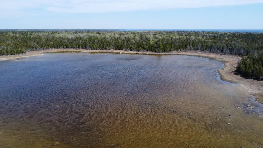 118 Acres of Untouched Waterfront Paradise Drummond Island, MI - Beach Acreage for sale in Drummond Island, Michigan on Beachhouse.com
