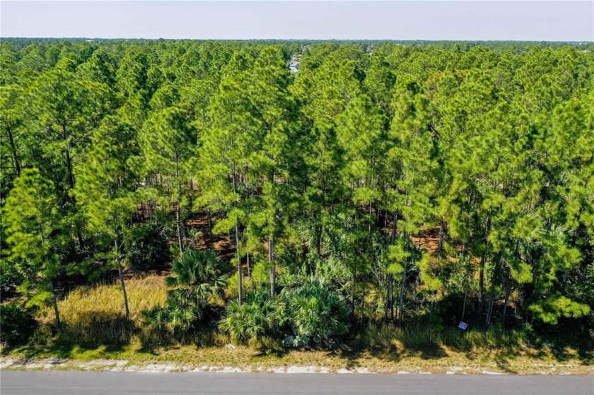 Two high and dry oversized lots in Port Malabar, unit #25 - Beach Lot for sale in Palm Bay, Florida on Beachhouse.com