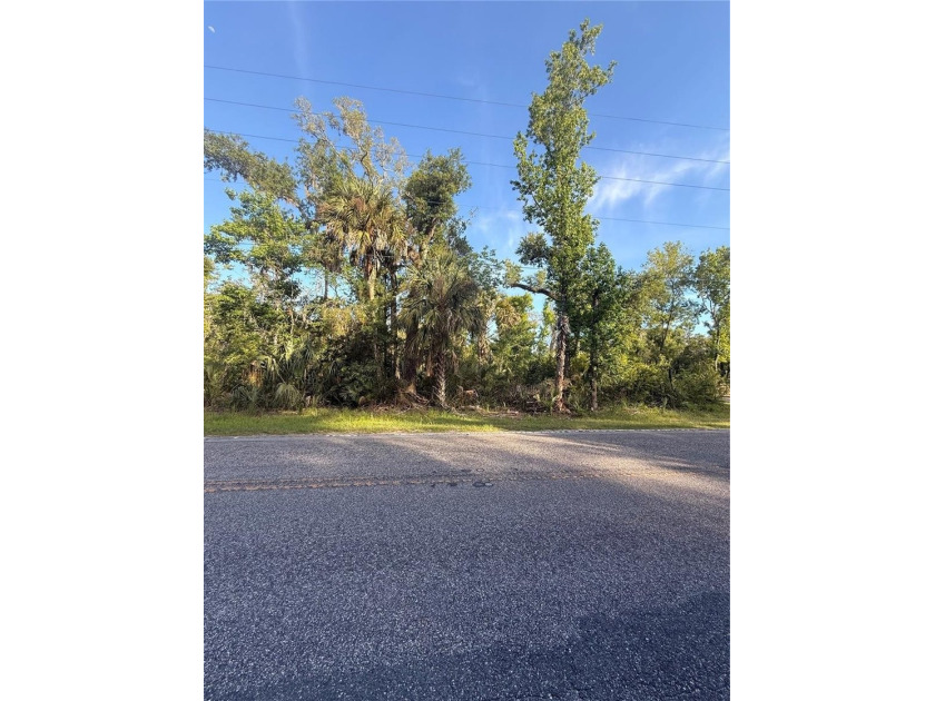 Welcome to this beautiful 1-acre homesite located in the highly - Beach Lot for sale in Crystal River, Florida on Beachhouse.com