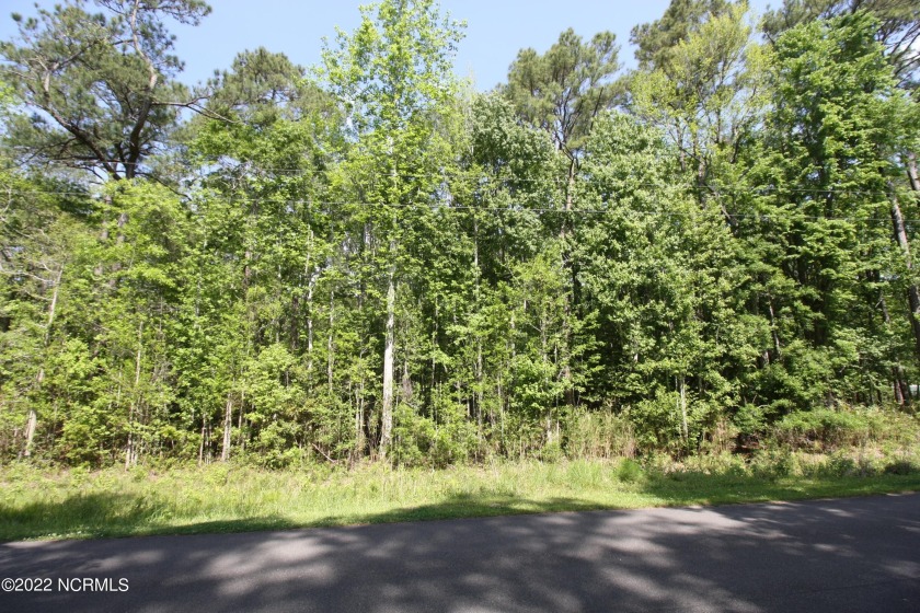 Large building lot at almost an half acre in Brierwood Estates - Beach Lot for sale in Shallotte, North Carolina on Beachhouse.com